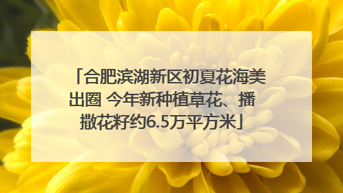合肥滨湖新区初夏花海美出圈 今年新种植草花、播撒花籽约6.5万平方米