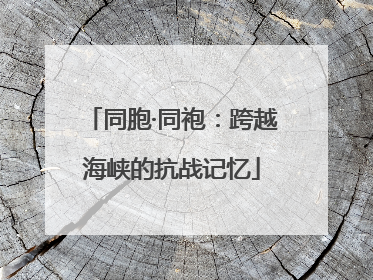 同胞·同袍：跨越海峡的抗战记忆