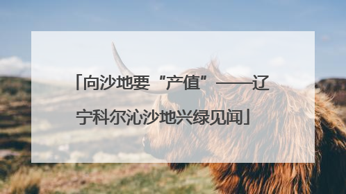 向沙地要“产值”——辽宁科尔沁沙地兴绿见闻