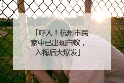 吓人！杭州市民家中已出现白蚁，入梅后大爆发