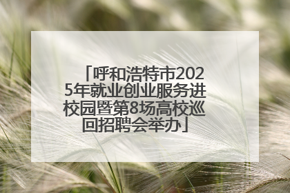 呼和浩特市2025年就业创业服务进校园暨第8场高校巡回招聘会举办