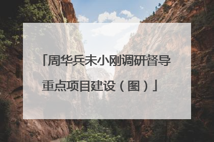 周华兵未小刚调研督导重点项目建设（图）