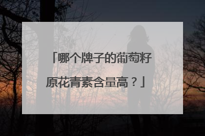 哪个牌子的葡萄籽原花青素含量高？