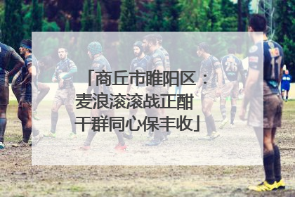商丘市睢阳区：麦浪滚滚战正酣 干群同心保丰收