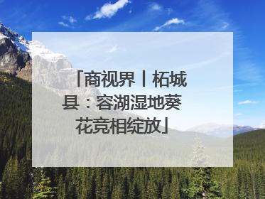 商视界丨柘城县：容湖湿地葵花竞相绽放