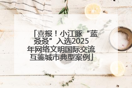 喜报！小江豚“蓝叒叒”入选2025年网络文明国际交流互鉴城市典型案例