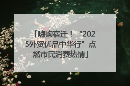 嗨购宿迁！“2025外贸优品中华行”点燃市民消费热情