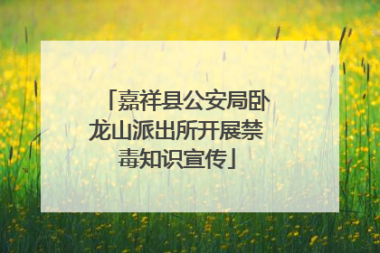 嘉祥县公安局卧龙山派出所开展禁毒知识宣传