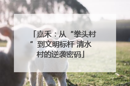嘉禾：从“拳头村”到文明标杆 清水村的逆袭密码