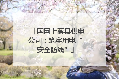 国网上蔡县供电公司：筑牢用电“安全防线”