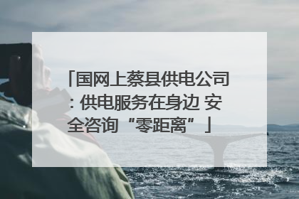 国网上蔡县供电公司：供电服务在身边 安全咨询“零距离”