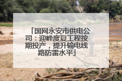 国网永安市供电公司：迎峰度夏工程按期投产，提升输电线路防雷水平