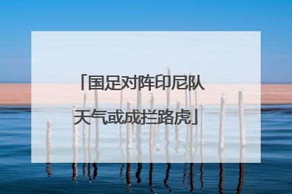 国足对阵印尼队 天气或成拦路虎