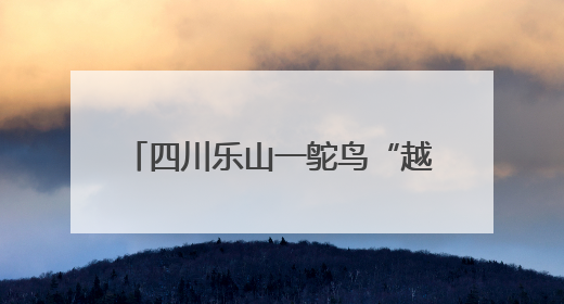 四川乐山一鸵鸟“越狱”马路狂奔，目击者：时速超40码，还对我“笑”了下