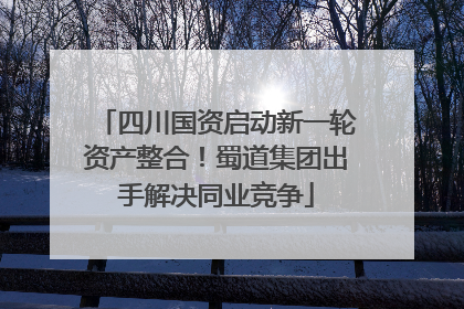 四川国资启动新一轮资产整合！蜀道集团出手解决同业竞争