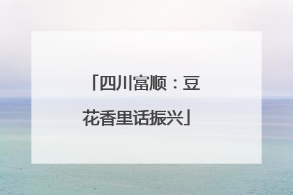 四川富顺：豆花香里话振兴