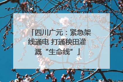 四川广元：紧急架线通电 打通秧田灌溉“生命线”