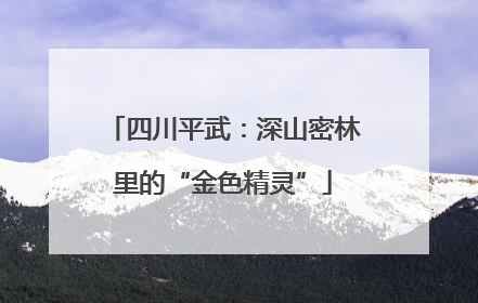 四川平武：深山密林里的“金色精灵”