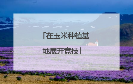 在玉米种植基地展开竞技