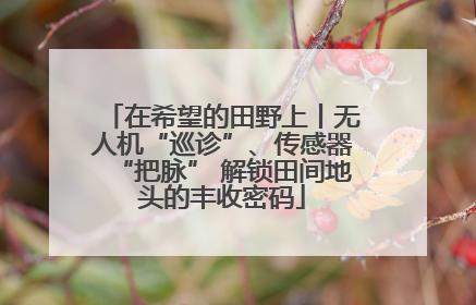在希望的田野上丨无人机“巡诊”、传感器“把脉” 解锁田间地头的丰收密码