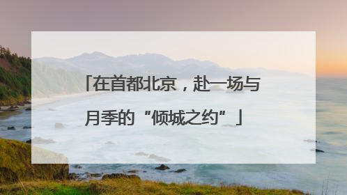 在首都北京，赴一场与月季的“倾城之约”