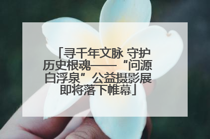 寻千年文脉 守护历史根魂——“问源白浮泉”公益摄影展即将落下帷幕
