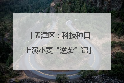 孟津区：科技种田 上演小麦“逆袭”记