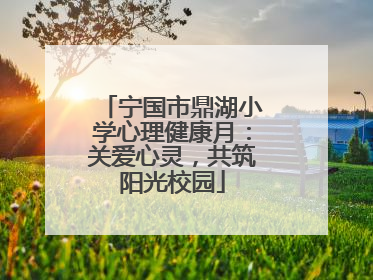 宁国市鼎湖小学心理健康月：关爱心灵，共筑阳光校园