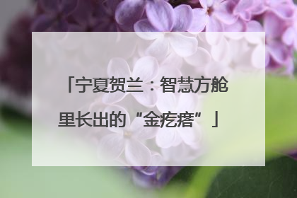 宁夏贺兰：智慧方舱里长出的“金疙瘩”