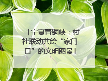 宁夏青铜峡：村社联动共绘“家门口”的文明图景