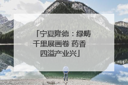 宁夏隆德：绿畴千里展画卷 药香四溢产业兴