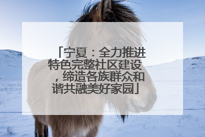 宁夏：全力推进特色完整社区建设，缔造各族群众和谐共融美好家园