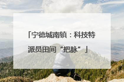 宁德城南镇：科技特派员田间“把脉”