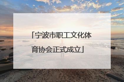 宁波市职工文化体育协会正式成立