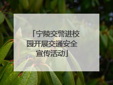宁陵交警进校园开展交通安全宣传活动