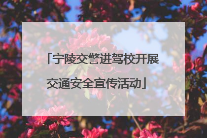 宁陵交警进驾校开展交通安全宣传活动
