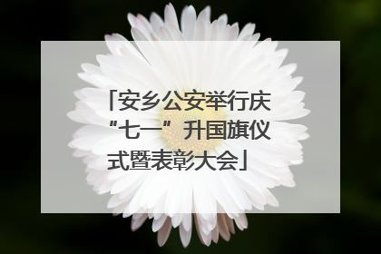 安乡公安举行庆“七一”升国旗仪式暨表彰大会