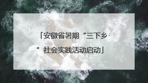 安徽省暑期“三下乡”社会实践活动启动