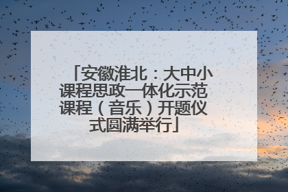 安徽淮北：大中小课程思政一体化示范课程（音乐）开题仪式圆满举行