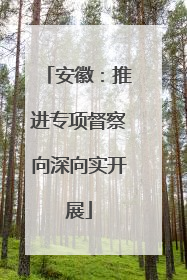 安徽：推进专项督察向深向实开展