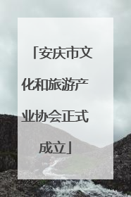 安庆市文化和旅游产业协会正式成立