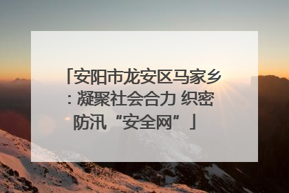 安阳市龙安区马家乡：凝聚社会合力 织密防汛“安全网”