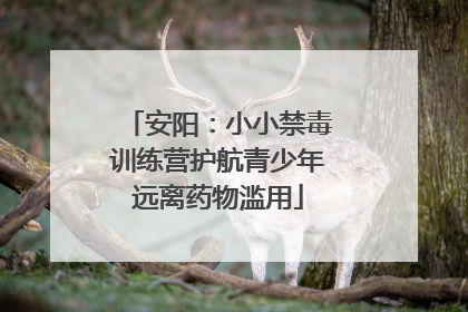 安阳：小小禁毒训练营护航青少年远离药物滥用