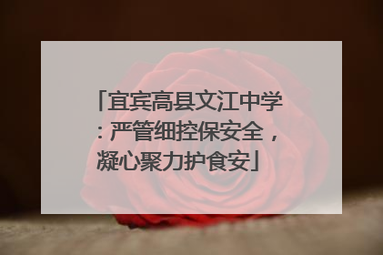 宜宾高县文江中学：严管细控保安全，凝心聚力护食安