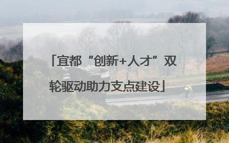 宜都“创新+人才”双轮驱动助力支点建设