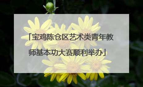 宝鸡陈仓区艺术类青年教师基本功大赛顺利举办
