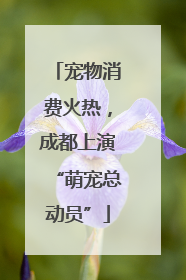 宠物消费火热，成都上演“萌宠总动员”