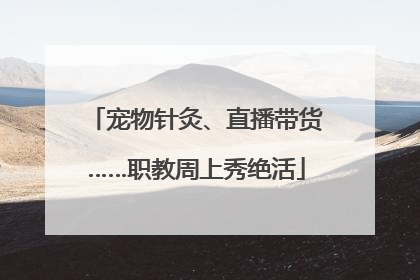 宠物针灸、直播带货……职教周上秀绝活