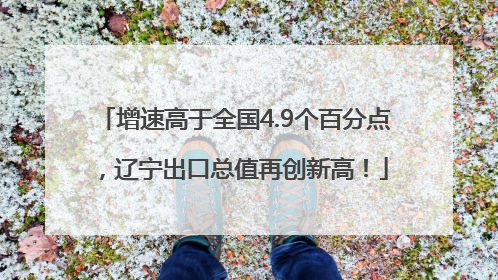 增速高于全国4.9个百分点，辽宁出口总值再创新高！