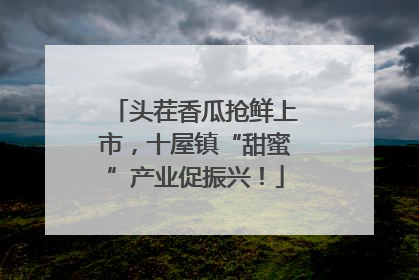 头茬香瓜抢鲜上市，十屋镇“甜蜜”产业促振兴！